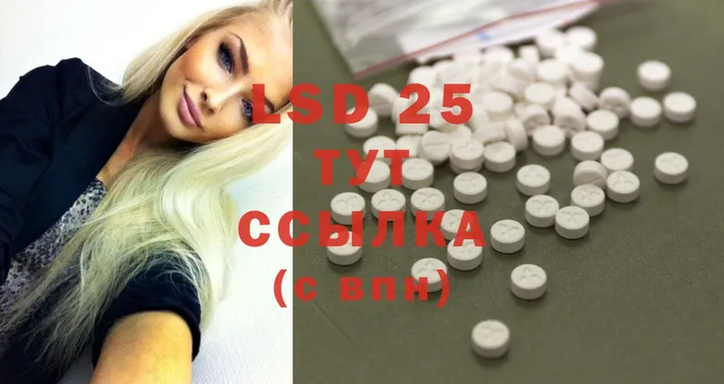 LSD-25 экстази ecstasy  MEGA tor  Козловка  купить  цена 